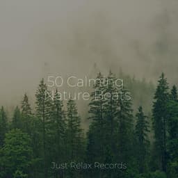 50 Calming Nature Beats - Spa Relaxation & Spa