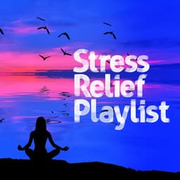 Stress Relief Playlist - Stress Relief