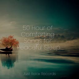 50 Hour of Comforting Songs for Peaceful Sleep - Relaxed Minds