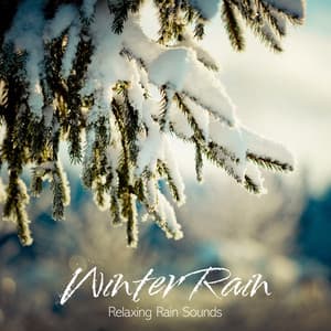 Winter Rain - Relaxing Rain Sounds