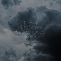 The Best Mindfulness Sounds | Deep Sleep - Calm Music for Studying