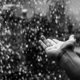 Womby Babies Noises for Calm - Womb Sounds Heartbeat