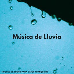Música De Lluvia: Noches De Sueño Para Gatos Tranquilos - El poder de la lluvia