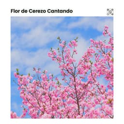 Flor de Cerezo Cantando - Meditación Con Ruido Rosado