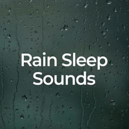 Rain Sleep Sounds - Rain Sleep Sounds