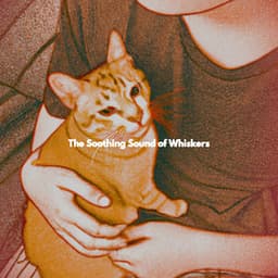 The Soothing Sound of Whiskers - Lounge Music for Restaurants