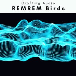A REMREM Birds - Crafting Audio