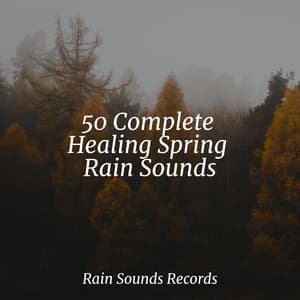 50 Complete Healing Spring Rain Sounds - Lucid Dreaming Music