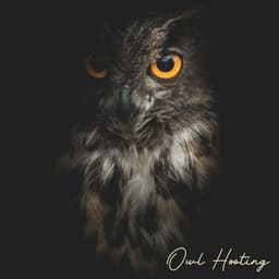Owl Hooting: Night Forest Soundscapes - Calm Singing Birds Zone