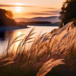 Melodías De Relajación: Melodías Relajantes Para La Calma - Guru de música tranquila
