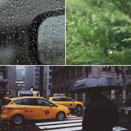 Big Band Jazz Ballad - Acoustic Study Music Playlists