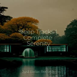 Sleep Tracks | Complete Serenity - Baby Songs & Lullabies For Sleep
