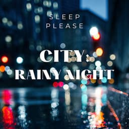 City: Rainy Night - Sleep Please