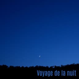 Voyage de la nuit: Rétrospective rêves, Pas de soucis - Sophrologie musique d'ambiance