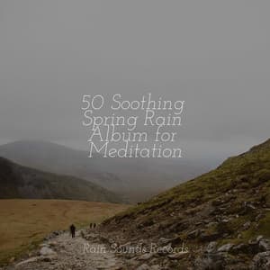 50 Soothing Spring Rain Album for Meditation - Smart Baby Lullaby