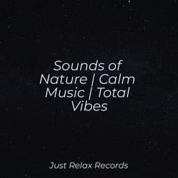Sounds of Nature | Calm Music | Total Vibes - Relajacion Del Mar