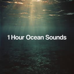 1 Hour Ocean Sounds - Relajacion Del Mar