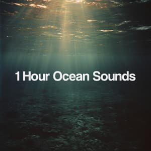 1 Hour Ocean Sounds - Relajacion Del Mar