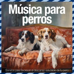 Música para perros - Sonidos para favorecer el descanso saludable de tu perro - Relaxmydog