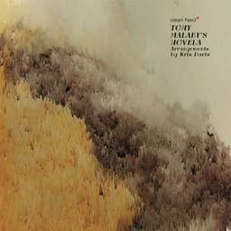 Novela - arr. by Kris Davis - Tony Malaby