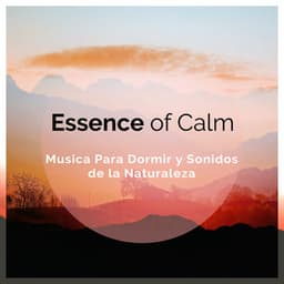 Essence of Calm - Musica Para Dormir y Sonidos de la Naturaleza
