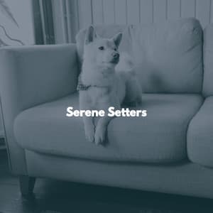Serene Setters - New Orleans Jazz Band