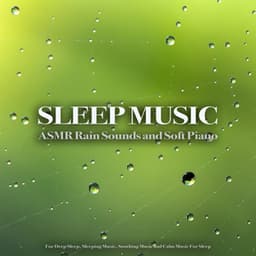 Sleep Music: ASMR Rain Sounds and Soft Piano For Deep Sleep, Sleeping Music, Soothing Music and Calm Music For Sleep - Sleeping Music