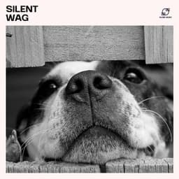 Silent Wag: Calming Dog Music - Dog Sleep Dreams