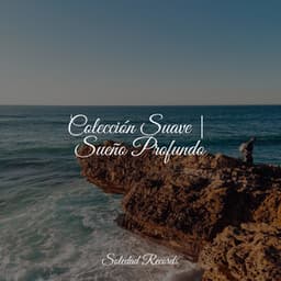 Colección Suave | Sueño Profundo - Música Zen Relaxante
