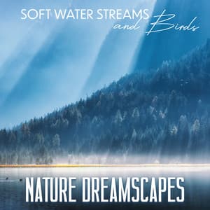 Soft Water Streams and Birds: Nature Dreamscapes - Serenity Stream