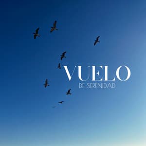 Vuelo de Serenidad: Pájaros Se Deslizan, Preocupaciones Desaparecen, Espíritus Se Elevan - Natureza Relaxante