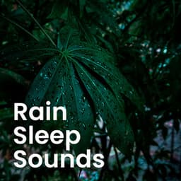 Sounds of Nature: Rainforest Rain & Soothing Forest Ambience - Calming Rainforest Sounds