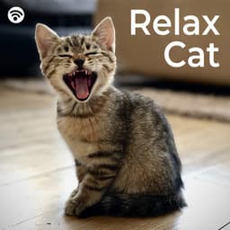 Relax Cat - Cat Music Experience