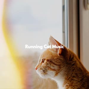 Running Cat Music - Toronto Coffee Shop Jazz