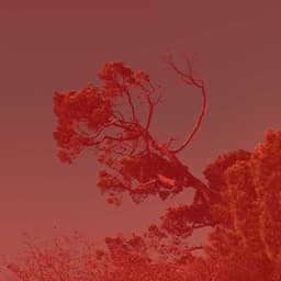 Echoes of Kundalini Yoga - Yoga Music Play List