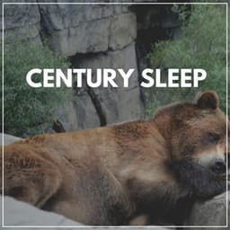 Century Sleep - Baby Sleep Sounds