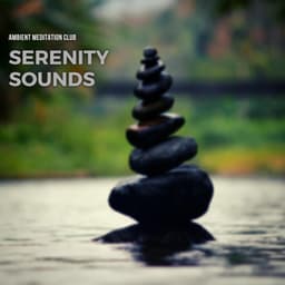 Serenity Sounds: Ambient Meditation Music - Ambient Meditation Club