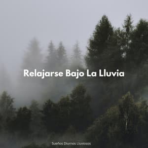 Sueños Diurnos Lluviosos: Relajarse Bajo La Lluvia - Lluvia Para Dormir Mejor