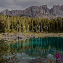 50 Soothing Songs for Peace and Calmness - Spa Relaxation & Spa