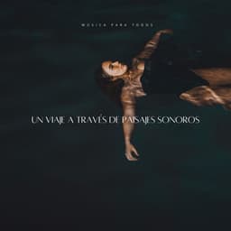 Un Viaje A Través De Paisajes Sonoros: Música Para Todos - Trambiendo