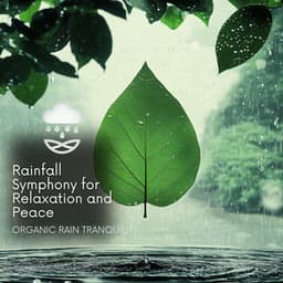 Rainfall Symphony for Relaxation and Peace - Organic Rain Tranquility