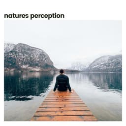Nature's Perception - Nature's Noise