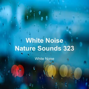 White Noise 323 - White Noise