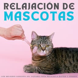 Relajación De Mascotas: Los Mejores Sonidos Del Océano Para Relajar A Gatos Y Perros - Música de mascotas relajante