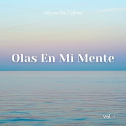 Vibras De Calma: Olas En Mi Mente Vol. 1 - Nación Lofi Hip Hop