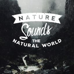 Nature Sounds: The Natural World - Ambiance nature