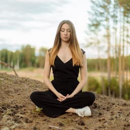 Serenity Meditation: Music for Calmness and Focus - The Meditations