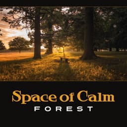 Space of Calm: Forest – Deep Relaxation, Contemplation Eternity, Letting Go of Tension and Stress, Equanimity - Nature Music Sanctuary