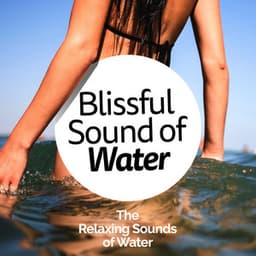 Blissful Sound of Water - The Relaxing Sounds of Water