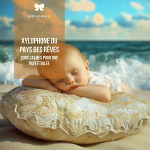 Xylophone du pays des rêves: Sons calmes pour une nuit étoilée - Bébé Sommeil
